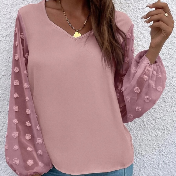 Swiss Dot Sheer Sleeve V neck Minimalist Top - Picture 6 of 13